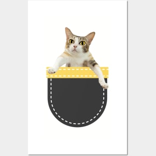 Calico Cat in Pocket Posters and Art